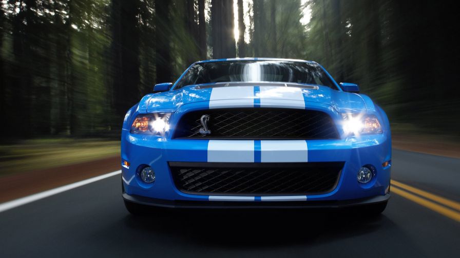 2010 Ford Shelby GT500 - 1
