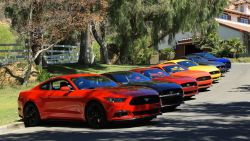 2015 Ford Mustangs
